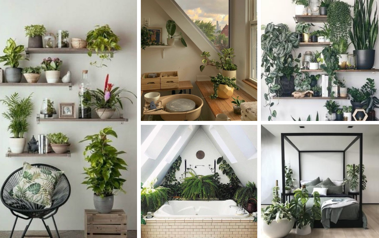 Room Designs With Plants