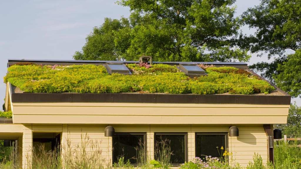 Maison avec un toit vert en fleurs