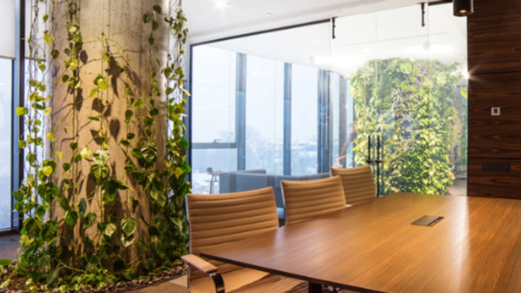 tendances bureau avec plantes décoratives murales dans salle de conférence