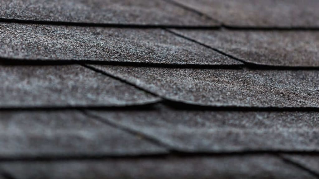 Roof inspection