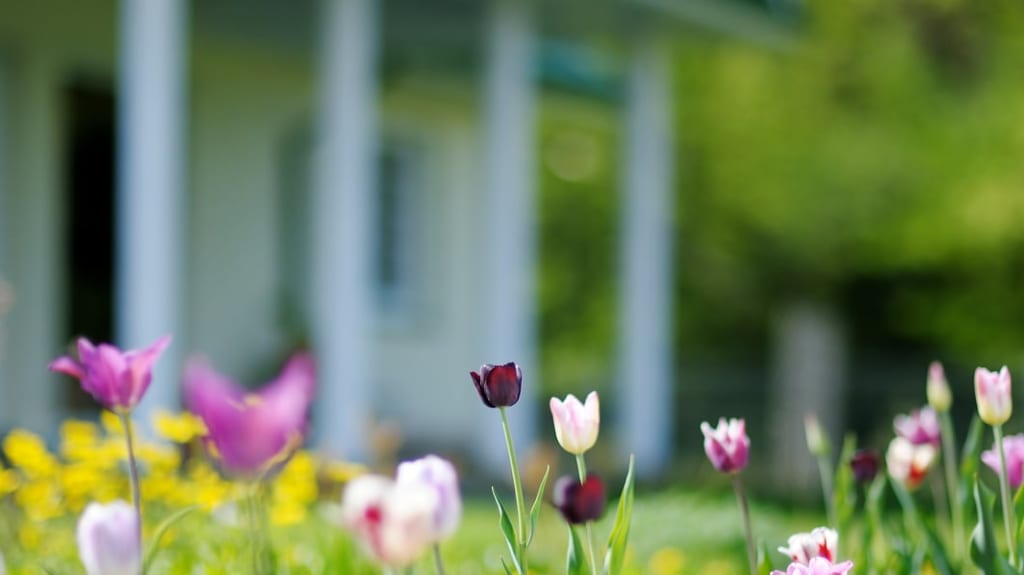 maison avec poutres blanches et fleurs de printemps