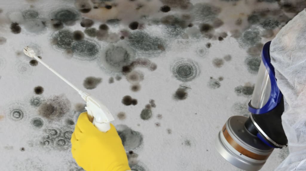 man-decontaminating-mold