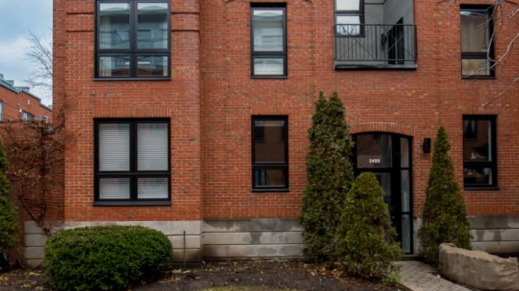 Doors and windows Renovation Daneau Project