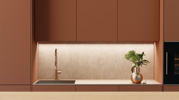 Minimalist kitchen with terracotta cabinets