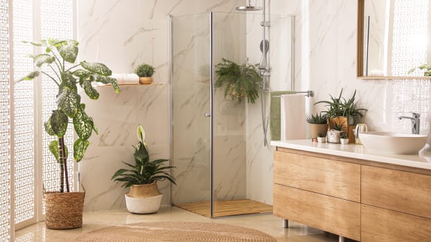 Cabine de douche, plantes d’intérieur et meuble-lavabo en bois