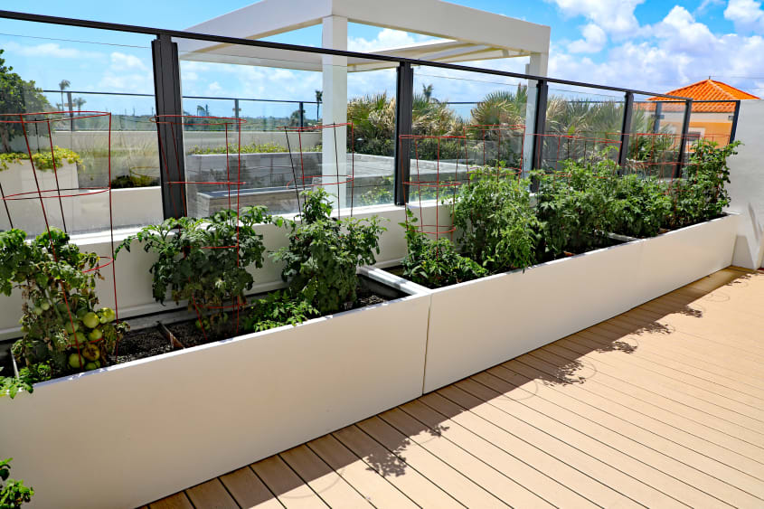 Deck with white planters lining the railing