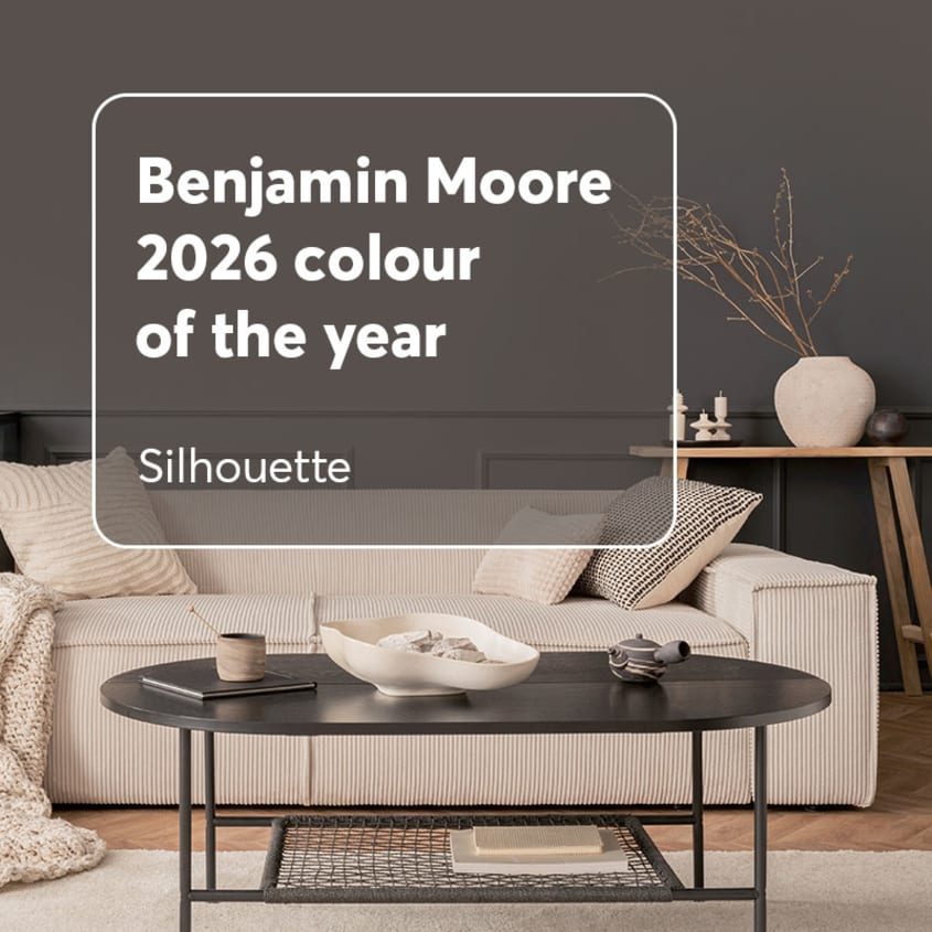 Benjamin Moore’s Colour of the Year: Silhouette