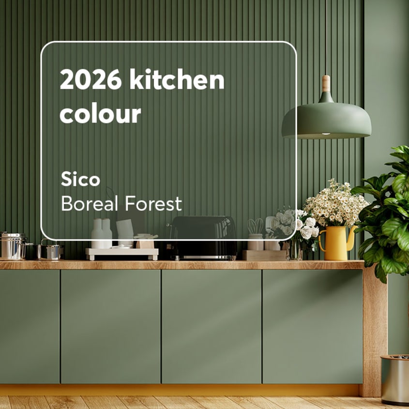 Sico’s trendy kitchen colour: Boreal Forest