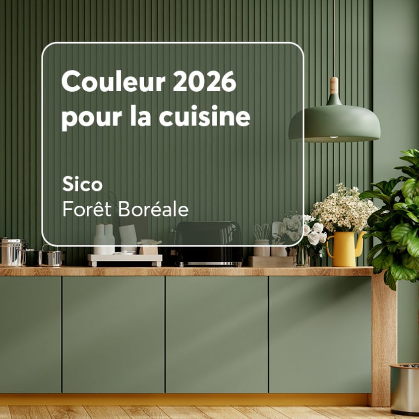 Couleur tendance cuisine Forêt boréale de Sico