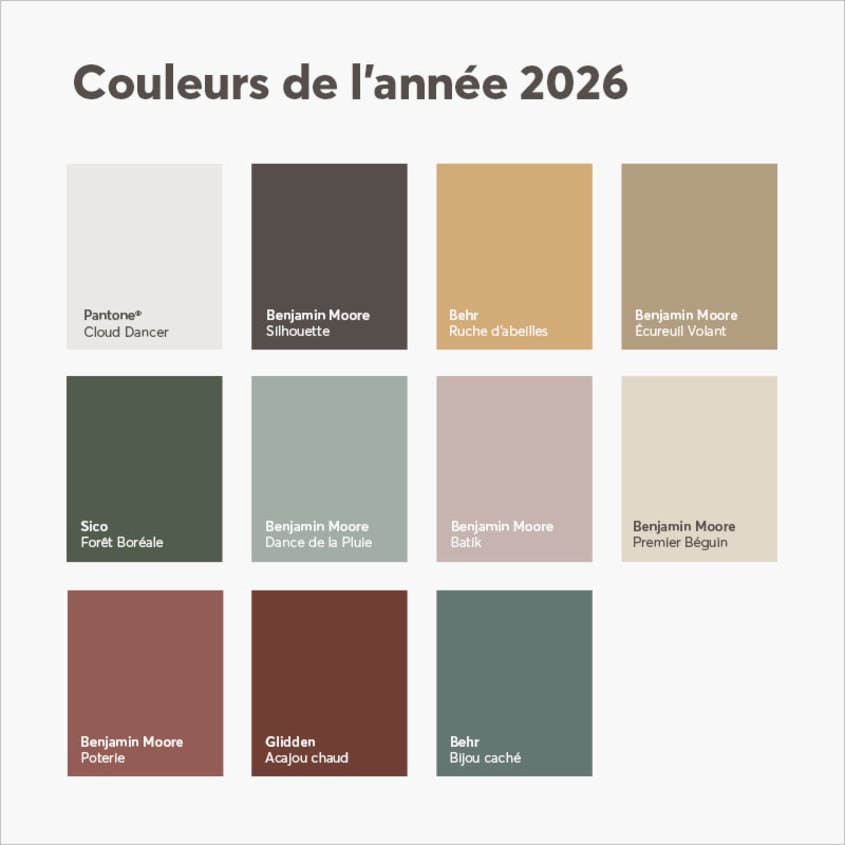Montage des couleurs tendance 2026