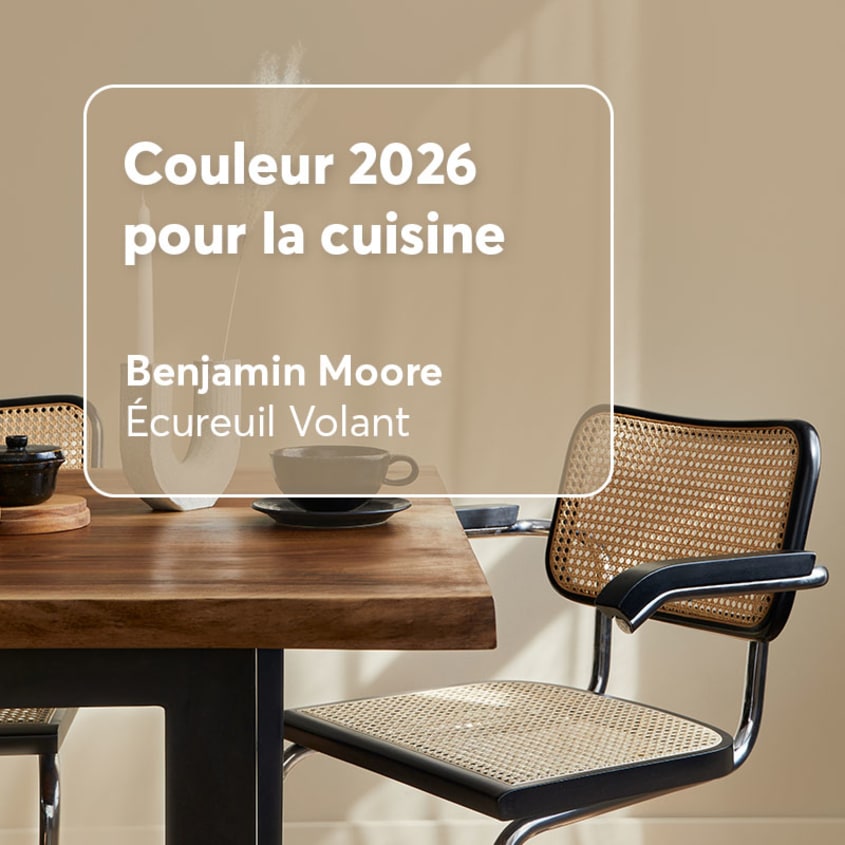 Couleur tendance cuisine Écureuil Volant de Benjamin Moore
