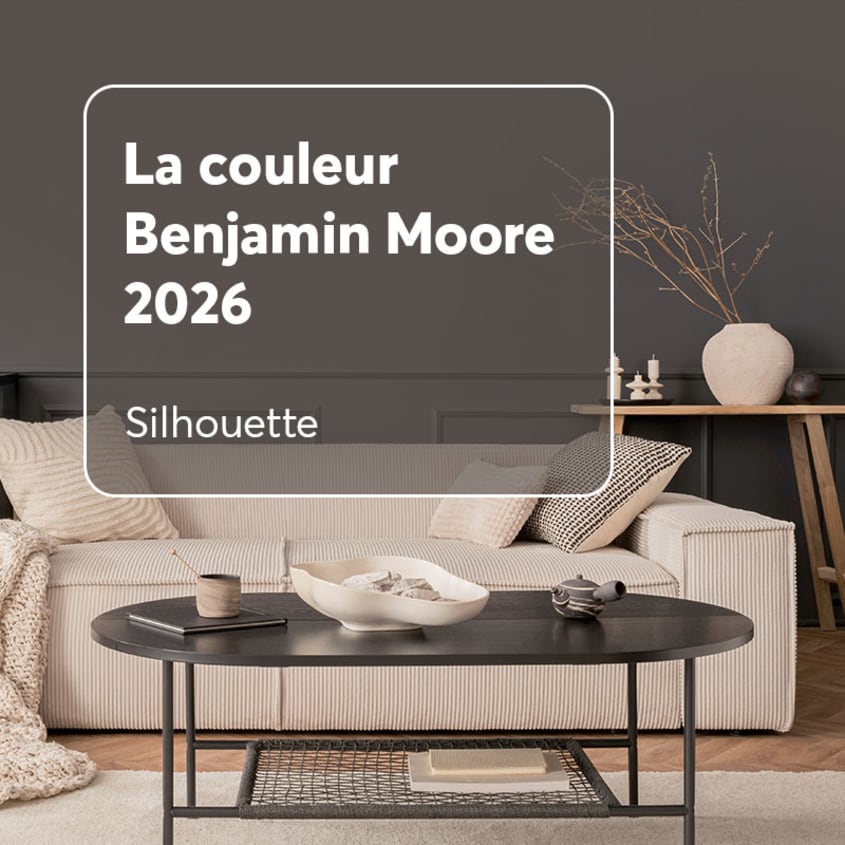 Couleur de l’année Silhouette de Benjamin Moore