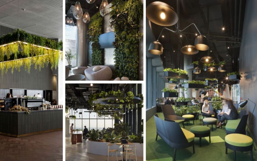 office trend of biophilic design on the ceiling and on walls in lounge area