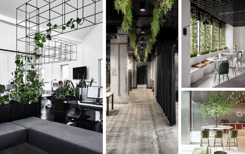 desk with plants hanging from ceiling