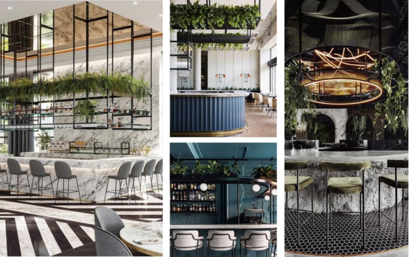 restaurant moderne décoré d’étagères suspendues décoratives avec plantes