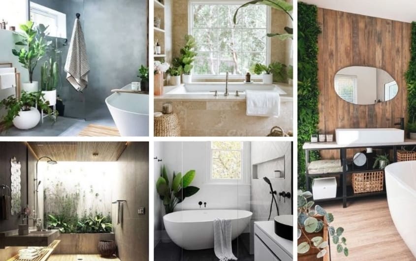 salle de bain sereine décorée avec des plantes