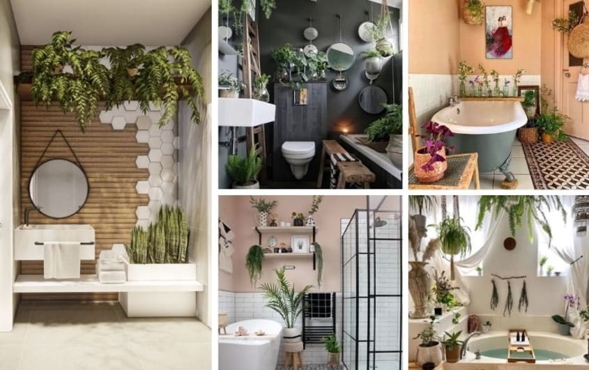 salles de bains uniques au décor naturel et beaucoup de plantes