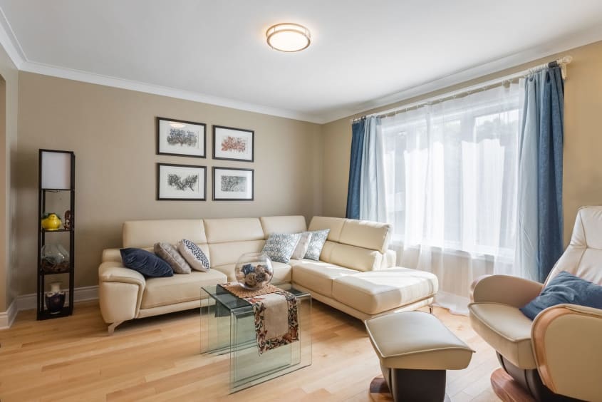 décoration de salon avec divant en cuir beige pâle, cadres et voilage dans les fenêtres