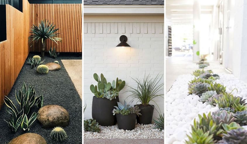 amenagement-paysager-avec-plantes-grasses-et-cactus