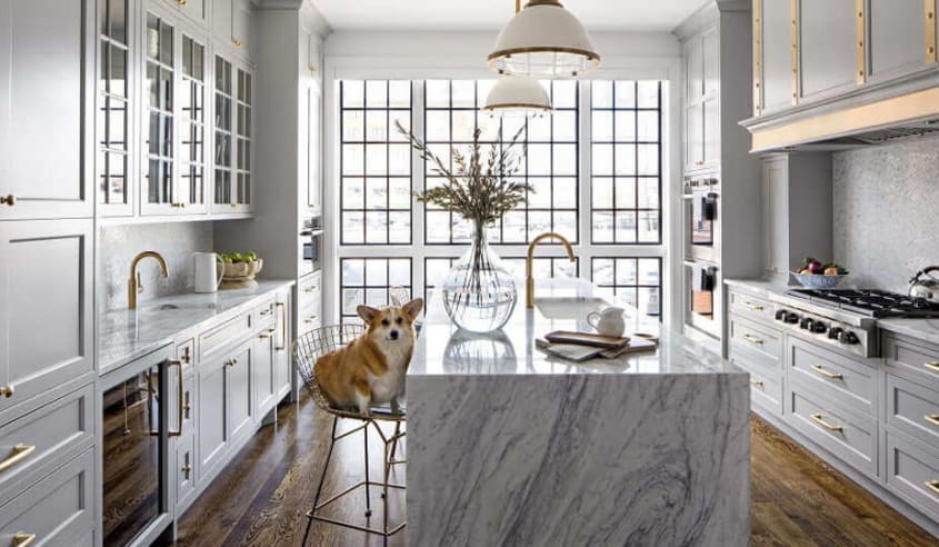 cuisine-de-style-classique-avec-un-chien-corgi