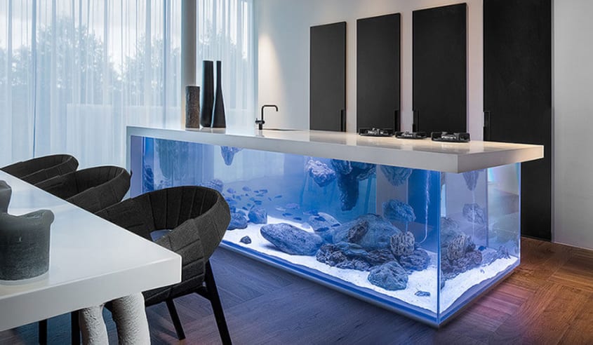 cuisine-avec-aquarium