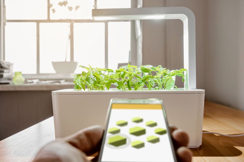 Controlling plant growth with a smartphone